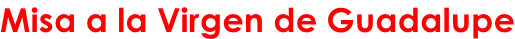 Misa a la Virgen de Guadalupe